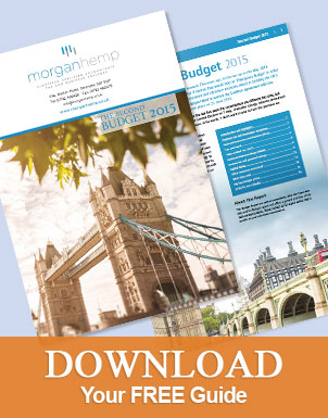 money-plant_budget2015july[1]